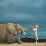 Bambineria print ads featured image